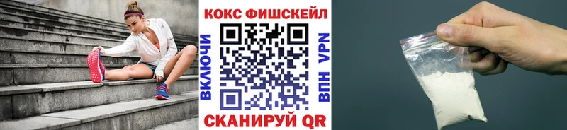 COCAIN Эквадор  мега зеркало  Сурск  что такое наркотик 