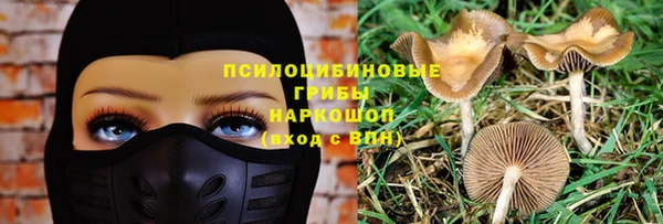 гашик Абаза