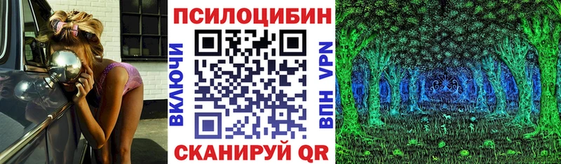 Псилоцибиновые грибы GOLDEN TEACHER  закладка  Сурск 
