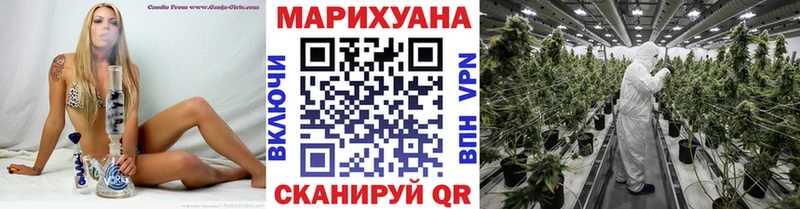 Марихуана гибрид Сурск