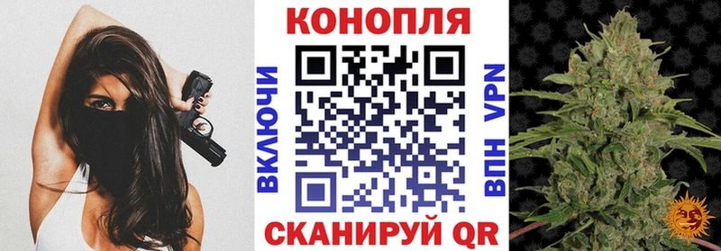 Бошки Шишки VHQ  Сурск 